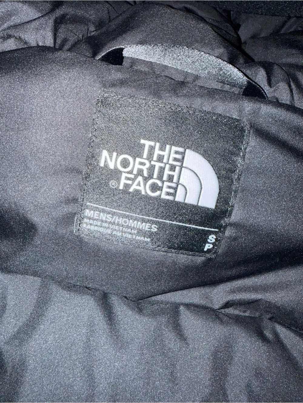 The North Face north face
